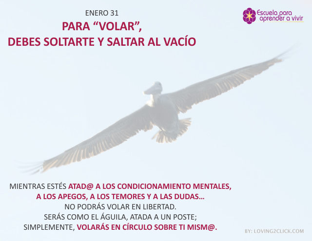 Para volar, debes soltarte y saltar al vacío